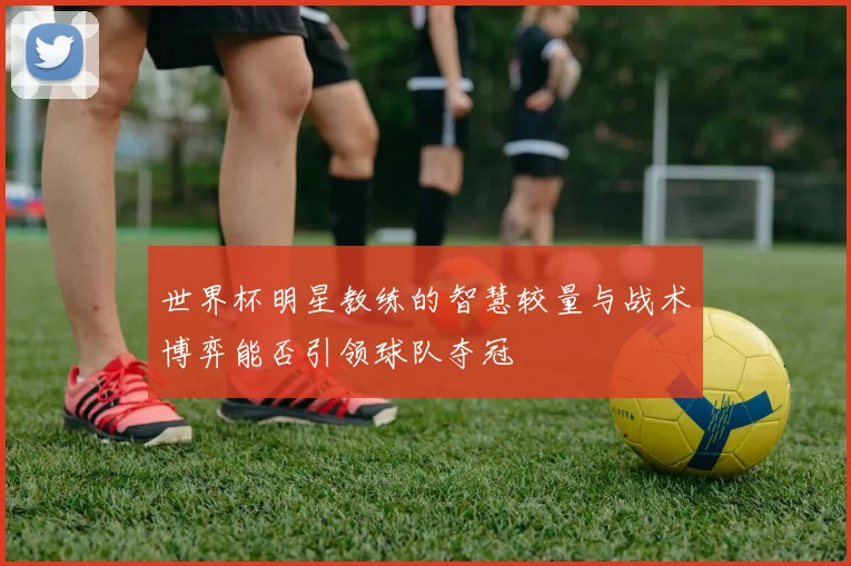 世界杯明星教练的智慧较量与战术博弈能否引领球队夺冠